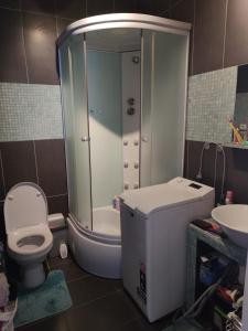 Kúpeľňa v ubytovaní Útulný byt na Fončorde