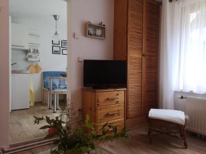 a living room with a television on a wooden dresser at Ferienhaus Sommerlust in Ueckeritz
