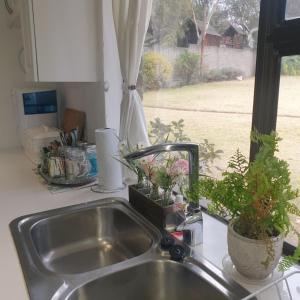 a kitchen sink with potted plants next to a window at Waybury Cottage - a cozy home from home ! in Johannesburg