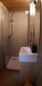 La salle de bains est pourvue d'un lavabo et d'une douche. dans l'établissement Charmante Roulotte atypique, à Jaujac