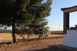 Fotografia z galérie ubytovania Casa Rural La Rosa de los Vientos v destinácii Fuente de Piedra