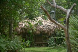 uma cabana com telhado de palha num jardim em Aventura Rincon Ecolodge em Las Galeras