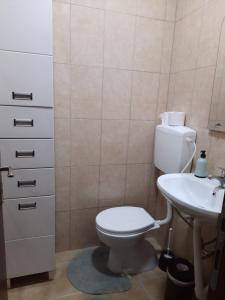 een badkamer met een toilet en een wastafel bij Apartman Ristic in Divčibare