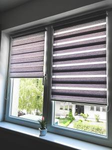 Fotografia z galérie ubytovania Apartman DEA v destinácii Soko Banja