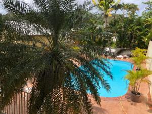 a palm tree in front of a swimming pool at Charmant T3 avec Terrasse et Vue sur Mer in Le Marin