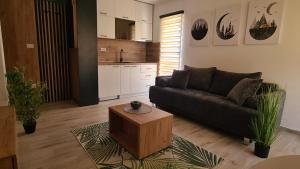 Кухня або міні-кухня у Apartmani PART