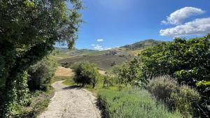 Fotografia z galérie ubytovania Finca Las Campanas II v destinácii Villanueva de la Concepción