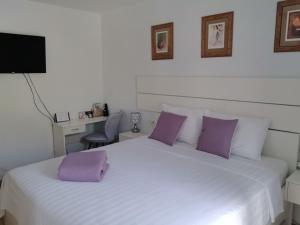 Fotografie z fotogalerie ubytování Jelena 3 v destinaci Zvekovica + 20 fotografií