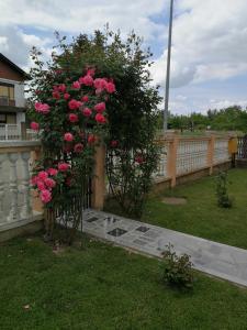 Zahrada ubytování Apartmani Astra