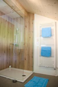 baño con ducha y puerta de cristal en Haus Bergquell, en Au im Bregenzerwald