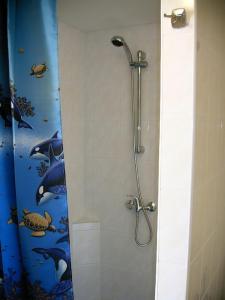 y baño con ducha con cortina de ducha de delfines. en Studio Na pláži, en Frymburk