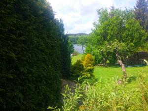 un jardín con vistas al lago en Studio Na pláži, en Frymburk