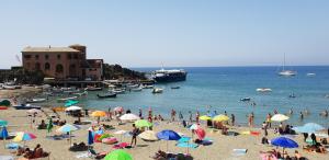 Gallery image of ALBA in Levanto +21 photos