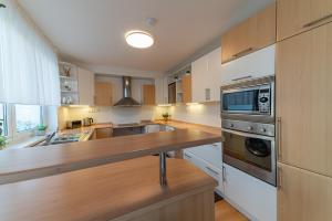 a kitchen with a counter top and a microwave at Penzion Lomská Vyhlídka in Lom u Mostu