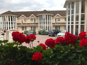 a group of houses with red flowers in a parking lot at Villa Brussels in Deva