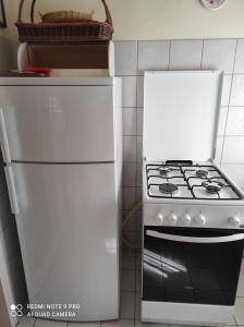 Kuchyňa alebo kuchynka v ubytovaní Alina vendégház