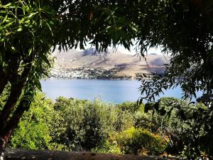 a view of a lake from behind a tree at Il Canto delle Cicale in Agia Marina