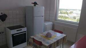 米盧斯的住宿－La casa du musée，一间带桌子和白色冰箱的小厨房