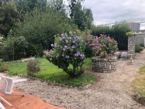 een bos met paarse bloemen in een tuin bij Chez FIRMIN "Les Ombrages" in Mesnac