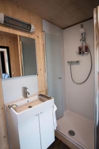 a bathroom with a sink and a shower at Ferienhaus erholzeit. in Wettringen