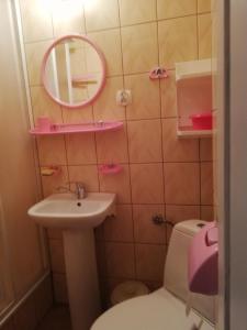 a bathroom with a sink and a toilet and a mirror at U Halinki in Darłowo