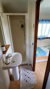 een badkamer met een wastafel en een douche bij la casetta da paola in Bardalone
