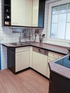 eine Küche mit einer Spüle und einer Arbeitsplatte in der Unterkunft Pannonia Lake House in Neusiedl am See