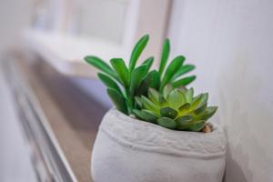 Fotografie z fotogalerie ubytování Apartment Moseltraum v destinaci Zell an der Mosel