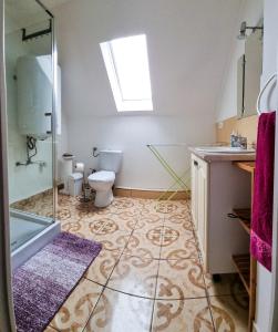 a bathroom with a toilet and a sink and a shower at White Apartment in Keszthely