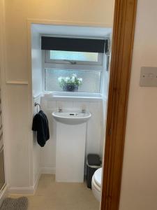 a small bathroom with a toilet and a window at Forty Five, John Street, Stromness, in Stromness