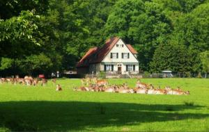 Animaux dans l'appartement ou à proximité 5 autres photos