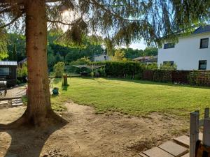 ein großer Hof mit einem Baum und einem Haus in der Unterkunft NEU Auszeit in moderner Wohnung in Seen-Nähe in Markkleeberg