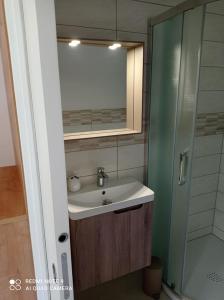 W łazience znajduje się umywalka i przeszklony prysznic. w obiekcie Apartma Aurora w mieście Kranjska Gora