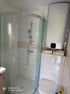 W łazience znajduje się prysznic, toaleta i umywalka. w obiekcie Apartma Aurora w mieście Kranjska Gora