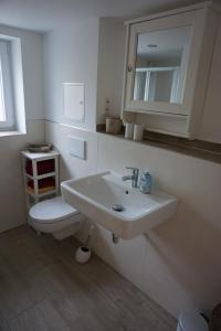 ein Badezimmer mit einem weißen Waschbecken und einem WC in der Unterkunft Ferienwohnung Lorbeer in Meißen