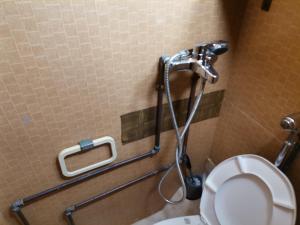 a bathroom with a toilet and a shower at Green Garden Caravan in Zakynthos