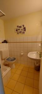 ヴィーク・アウフ・リューゲンにあるWohnung am Boddenのバスルーム(トイレ、洗面台付)