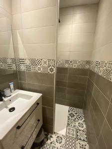 een badkamer met een wastafel en een douche bij Appart’hôtel les perles du lac in Tombeboeuf