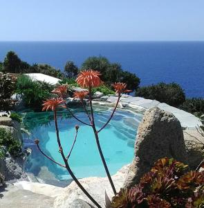 Θέα της πισίνας από το Logement de charme avec piscine privative ή από εκεί κοντά