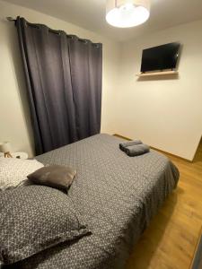 a bedroom with two beds and a black curtain at Appart’hôtel les perles du lac in Tombeboeuf +13 photos