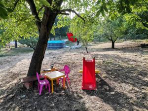 Giardino di Borsko jezero