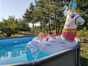 Piscina di Borsko jezero o nelle vicinanze