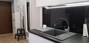 Kuchyňa alebo kuchynka v ubytovaní Apartament Premium