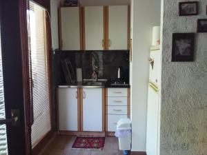 uma pequena cozinha com um lavatório e um frigorífico em Tammaris Holiday Home em Visoko