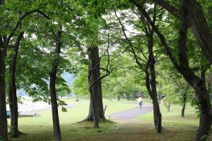 a person riding a bike down a path in a park at Hotel Towadaso in Towada