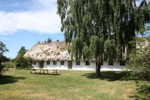 Zahrada ubytování Tanggården Skoven