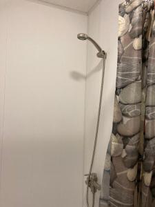 um chuveiro na casa de banho com uma cortina de chuveiro em SKY Ranch em Izborsk