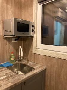 um balcão de cozinha com um lavatório e um micro-ondas em SKY Ranch em Izborsk