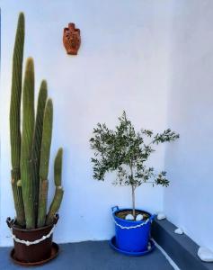 Φωτογραφία από το άλμπουμ του George's Place στην Ίο