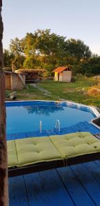 einen großen Pool mit einem Bett im Hof in der Unterkunft Casa Maria in Cincu